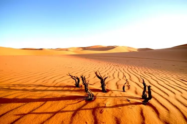 Sederet Fakta Padang Mahsyar dalam Ajaran Islam