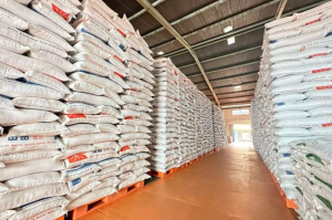 Beras RI Tembus Arab Saudi, Perdana 2.280 Ton Disiapkan untuk Konsumsi Jamaah Haji